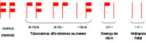 Imagem 3 de Os tipos de Talassemia