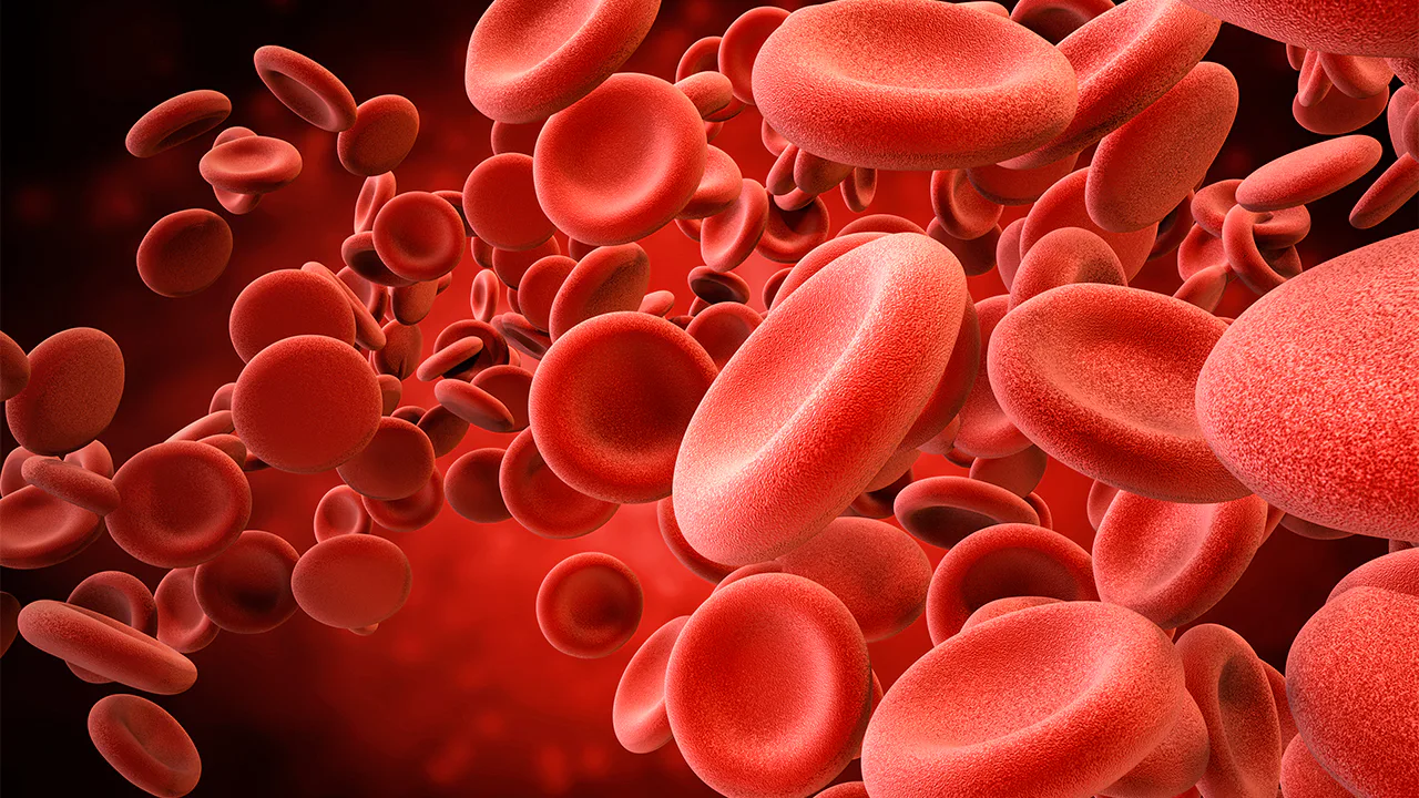 Imagem destacada de Panorama da Talassemia